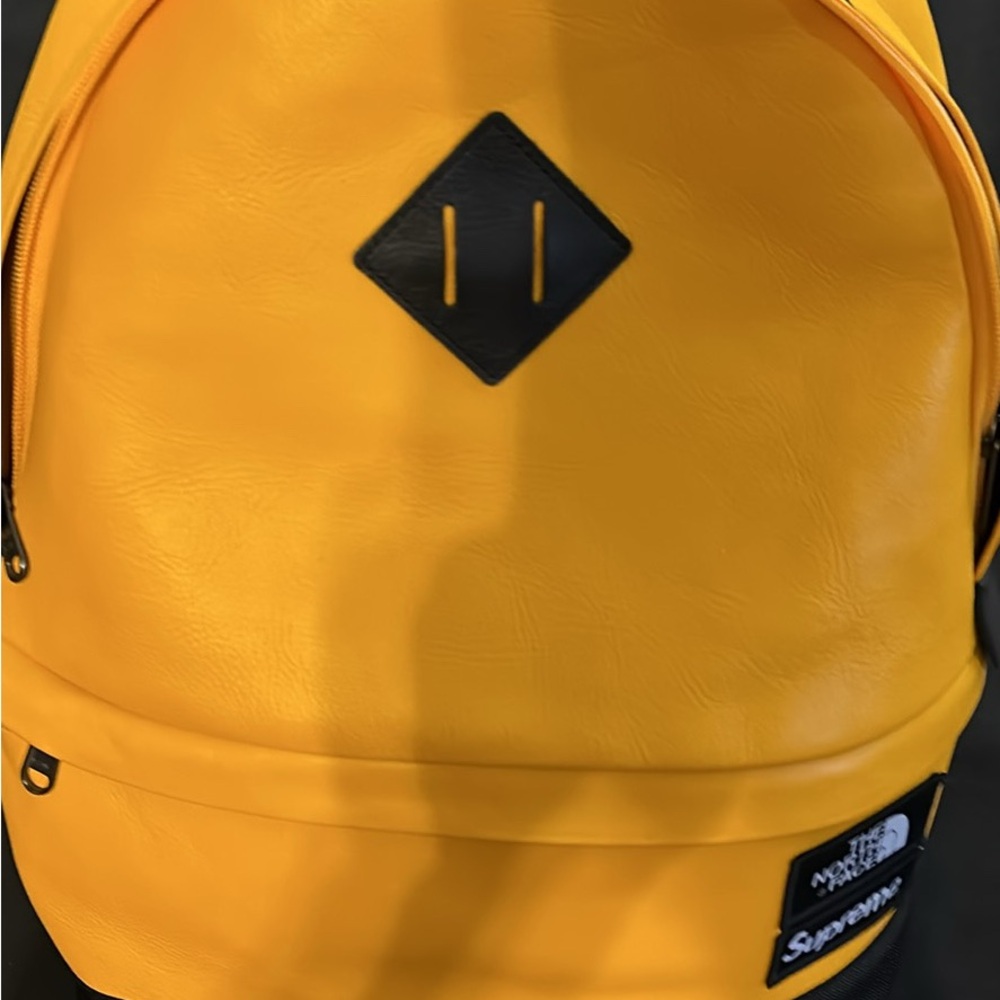 Supreme north face leather Backpack
